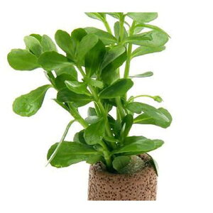 ijCt}`ijoRp@jGitji_ji2j