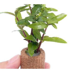 ijCt}`ijmtB@A}eBJitji_ji2j