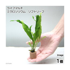 ijCt}`ij~N\EspD@\tg[tiC{CXji1j