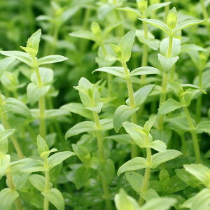 ijOeBI@BXLfitji_ji20{j