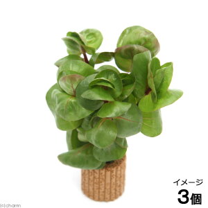 ijCt}`ij^@}Nh@XEBhDhDOitji_ji3j