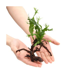 ij~N\E@EFfBt@u`A[`ؕti15cm`ji1{j