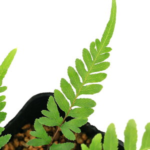 iR쑐jV_irjA}NTV_iVrj3i1|bgjΐN