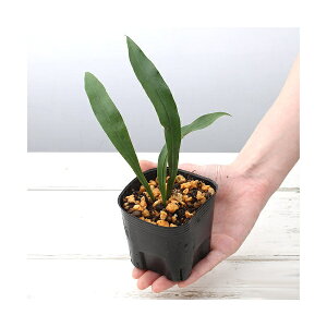 iR쑐jV_irjCiMV_irj3i1|bgjΐN