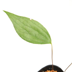 iR쑐jV_irjXWqgcoi؈tj3i1|bgjΐN