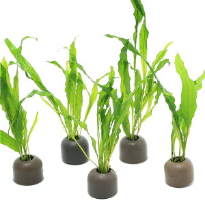 ij[ICgOiO[j~N\EspD\tg[tiC{CXji5j