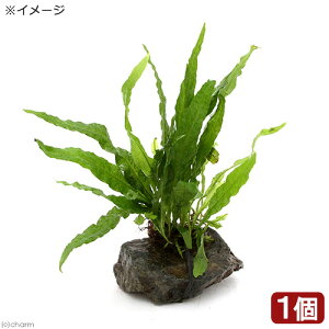 ij~N\E@vevXspD\tg[tiC{CXjitjR΁@STCYi1j