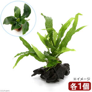 ij~N\E@vevXspD\tg[tt@؁@SSTCYi1{j{Ct}`ijAkrAXii