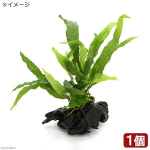 ij~N\E@vevXspD\tg[tiC{CXjt@؁@SSTCYi1{ji10cmj