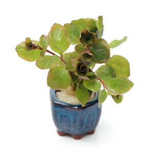 ij@hEBWA@IoXi~YLmV^jitji_ji1j