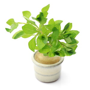 ij@hEBWA@yX@O[itji_ji1j