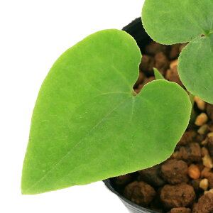 iR쑐jTCViאhj^JTSTCViאhjpY@3i1|bgj