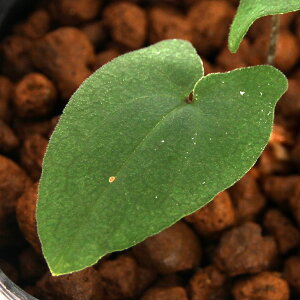 iR쑐jJAICij~LTgJAICiOؗj3i1|bgj