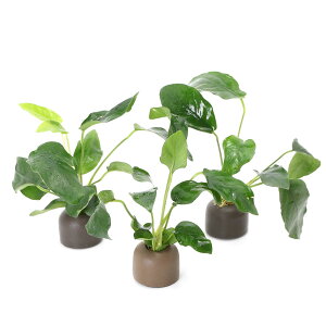 ij[ICgOiO[jAkrAXiiitji3j