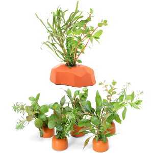 ijuȒPCAEg@[ICg񂹐AiIWjZbgitji_ji1Zbgj