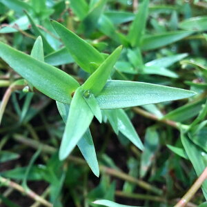 ijMjANXp@bh@2022NMjAցitji_ji10{j