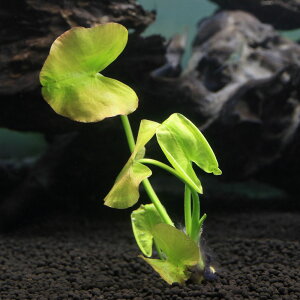 ijI[REzl@s3`10cmitji_ji1j