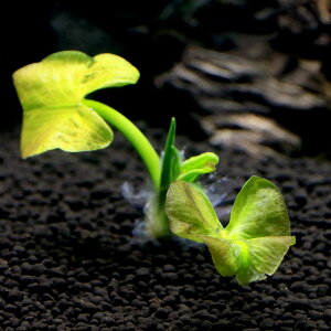 ijzbJCREzl@s3`10cmitji_ji1j