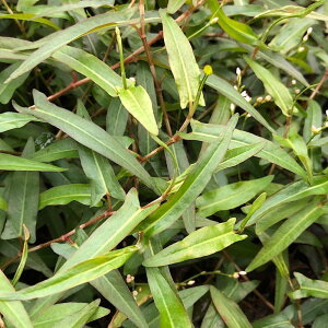 ijyVJA@vGe~bT@r[itji_ji10{j