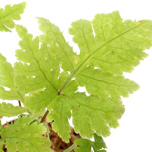 ieEjeN^AspD}[VAYi1|bgj@kCEBq֗vۉ