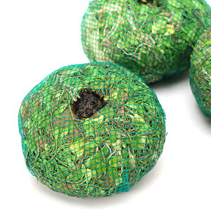 ijā@h[@`MѐXC`i1j