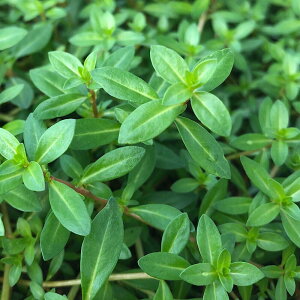 ijj[h[t@hEBWAitji_ji20{j