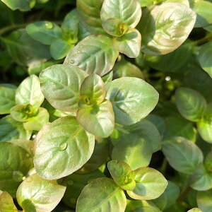 ijhEBWA@IoXi~YLmV^jitji_ji20{j