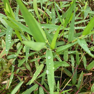 ijXip[v@ou[OXitji_ji10{j