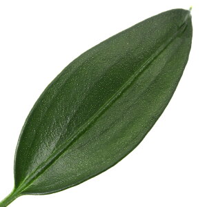 ieEjA_spDEB2i1|bgj@kCEBq֗vۉ