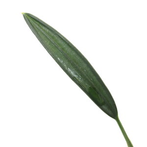 ieEjA_spDEB1i1|bgj@kCEBq֗vۉ