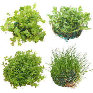 ij琬ρ@܂Oi{[itji_ji1j