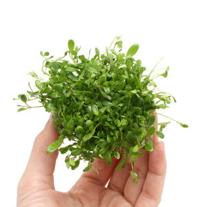 ij琬ρ@~bNX{[iOb\{I[XgAm`hjitji3j