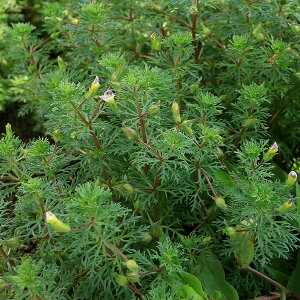 ijmtB@EB\j[itji_ji5{j