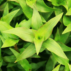 ijMjANXp@2024NMjAցitji_ji10{j@kCq֗vۉ