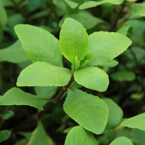 ijnCOtBspD^C@oRNYitji_ji10{j