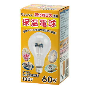 ATq@qRd@PS80@60W@@ۉ@֓