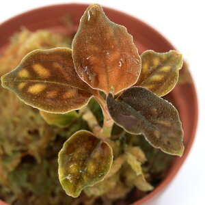 ieEjVXg[`X@oGK[^i1|bgj@kCEBq֗vۉ