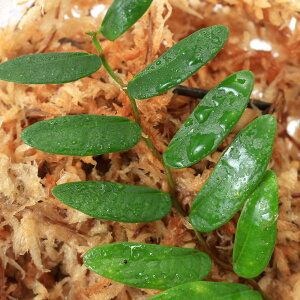 ieEjtBJXspDi[[ti1Jbvj@kCEBq֗vۉ