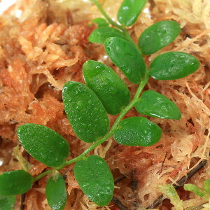 ieEj}NOrA@NeBt[i1Jbvj@kCEBq֗vۉ