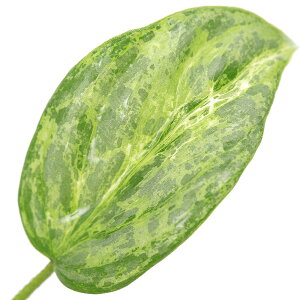 ieEjtBfh@\fBC@oGK[^i1|bgj@kCEBq֗vۉ