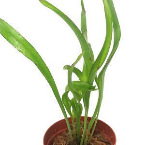 ieEjnvveX@A{ClVXi1|bgj@kCEBq֗vۉ