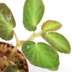 ieEjxSjA@e}Gi1|bgjxSjA@kCEBq֗vۉ