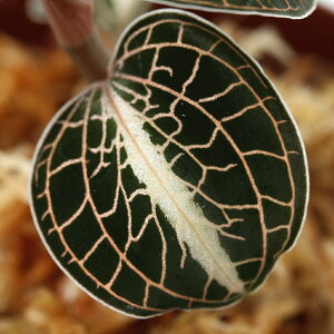 ieEjAlNgLX@C@[Yi1|bgj@kCEBq֗vۉ