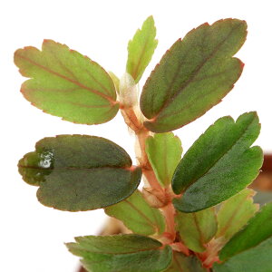 ieEjxSjA@tHITi1|bgjxSjA@kCEBq֗vۉ