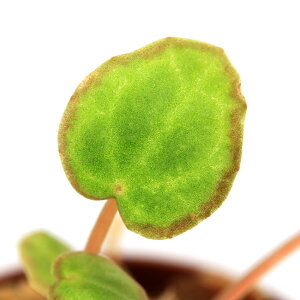 ieEjxSjA@XJsQi1|bgjxSjA@kCq֗vۉ