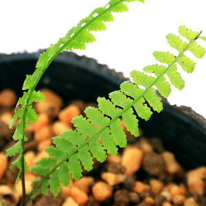 iR쑐jV_irjtWV_ixmrj3i1|bgjΐN