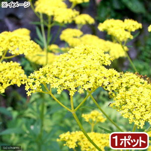 iR쑐jI~iGViYԁj@3i1|bgjixԁj