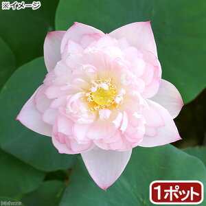 irIg[vj@@nXij@itVELEji1|bgjixԁj