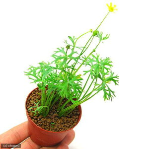 ijkNX@Ck_^XitjAi_ji3j