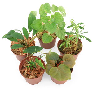 ieEj܂MѐAi1|bgj@kCEBq֗vۉ